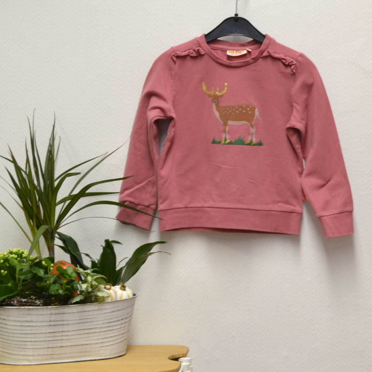 Someone Sweatshirt Gr. 110 – Altrosa mit Hirsch | Secondhand