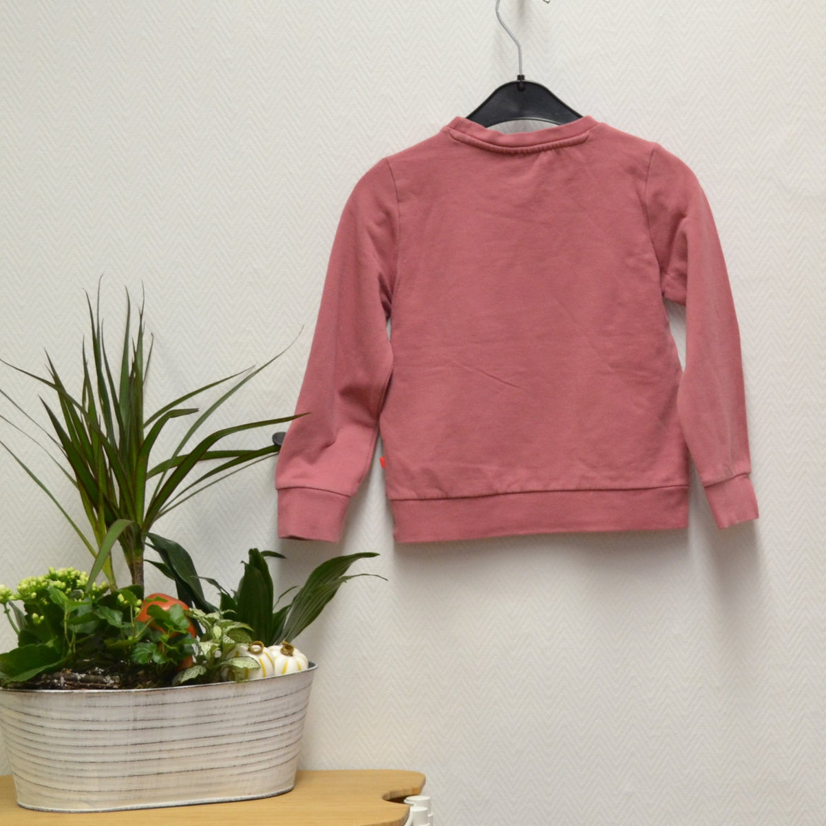 Someone Sweatshirt Gr. 110 – Altrosa mit Hirsch | Secondhand