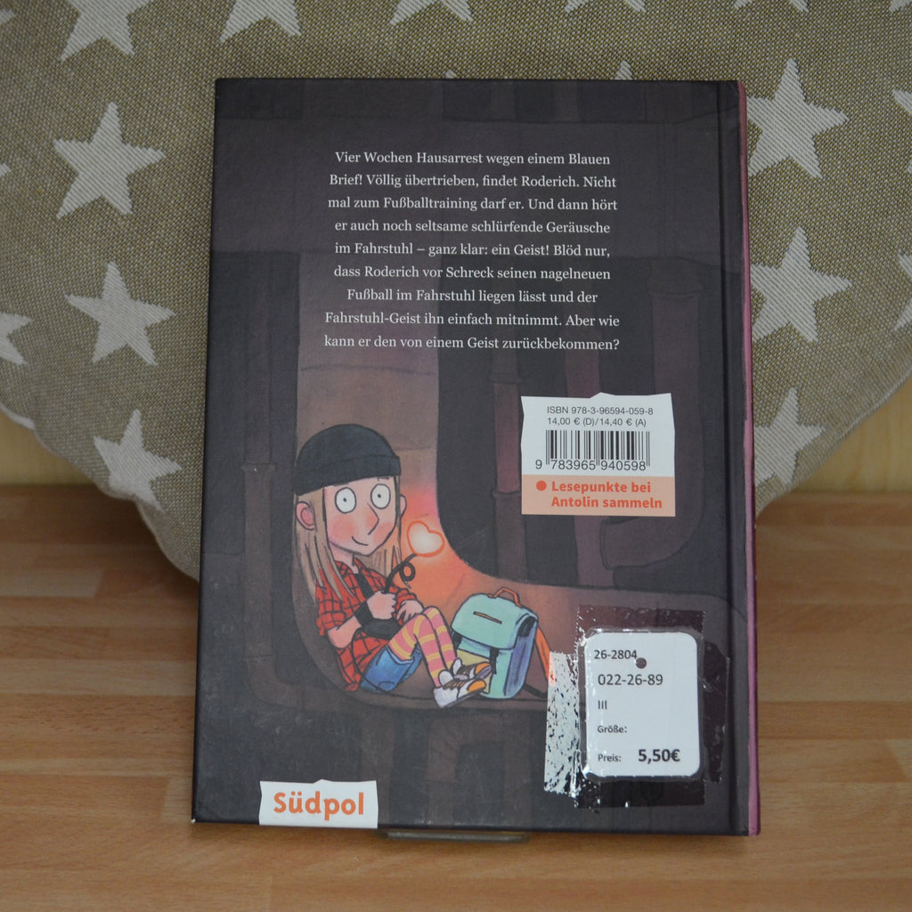Buch ♦ Rille aus dem Luftschacht ♦ Maike Siebold