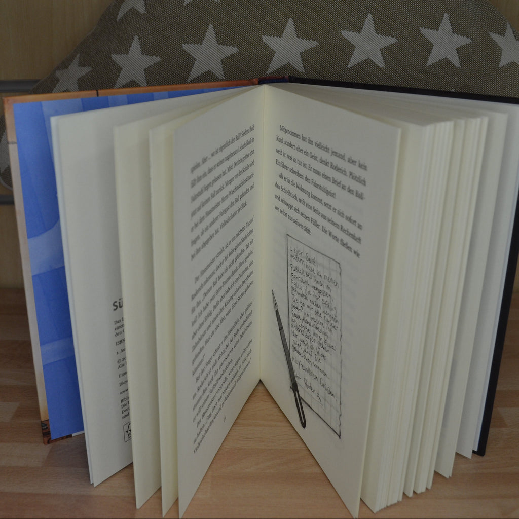 Buch ♦ Rille aus dem Luftschacht ♦ Maike Siebold