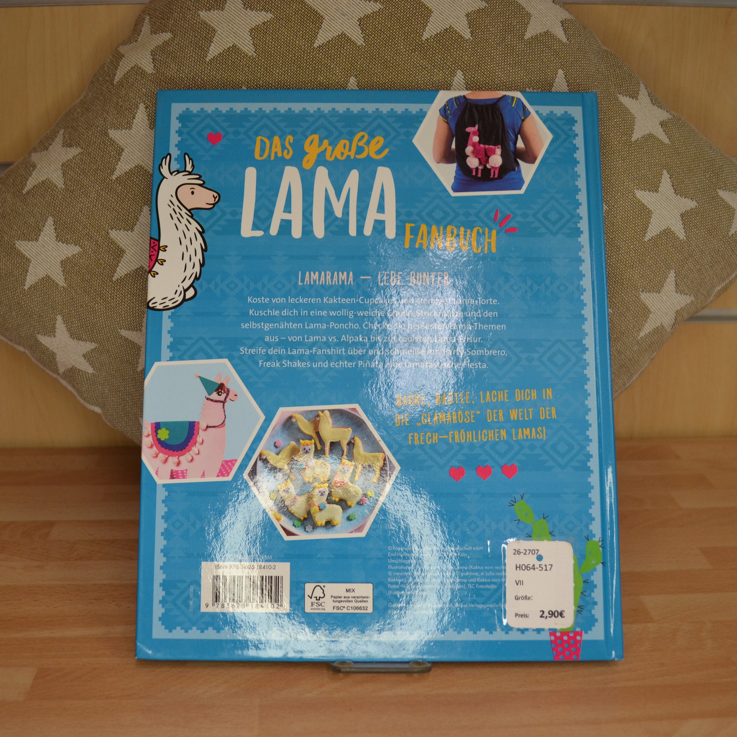Buch ♦ Das große LAMA Fanbuch ♦ Basteln, Backen, Selbermachen